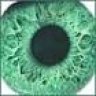 Taucher