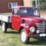 elli601