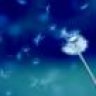 Mademoiselle Pusteblume