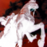 white horseman