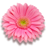 larilu