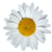 Alexa2508