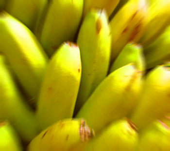 bananen.jpg